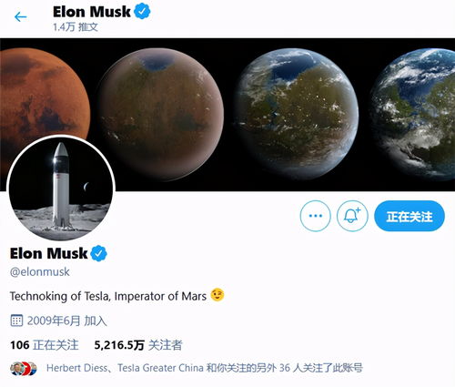 特斯拉Model 3歐洲市場強勢領跑，馬斯克發聲彰顯品牌自信